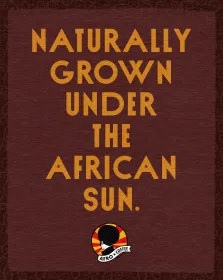 Probierset Kaffeebohnen, Bio, Fairtrade 500g